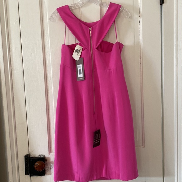 COPY - Hoaglund Pink Dress NWT 10 - Picture 6 of 7